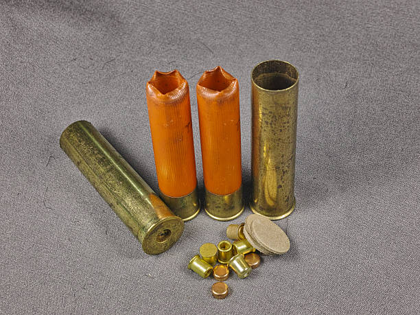 Locked and Loaded: The Business Dynamics of the Ammunition Market