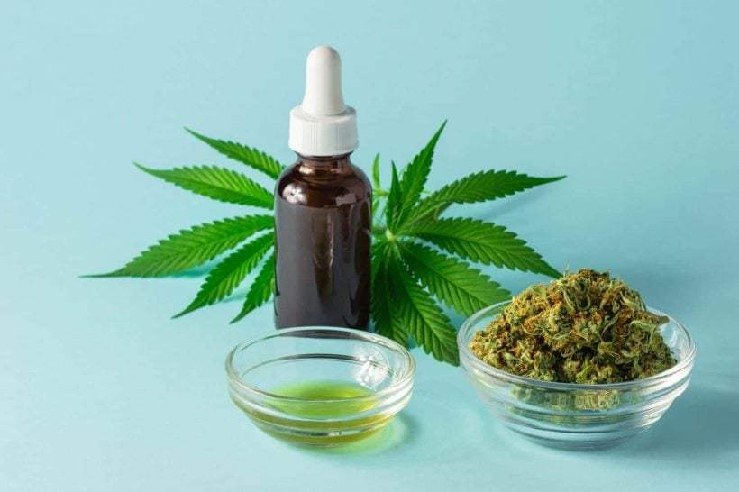 Exploring the Potential of CBD Oil in Modern Medicine